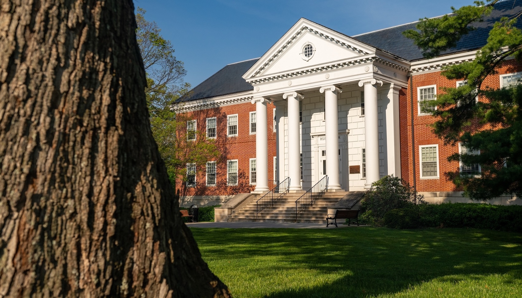 A classical brick building with white columns and a triangular pediment stands behind a grassy lawn, framed by a tree trunk in the foreground.